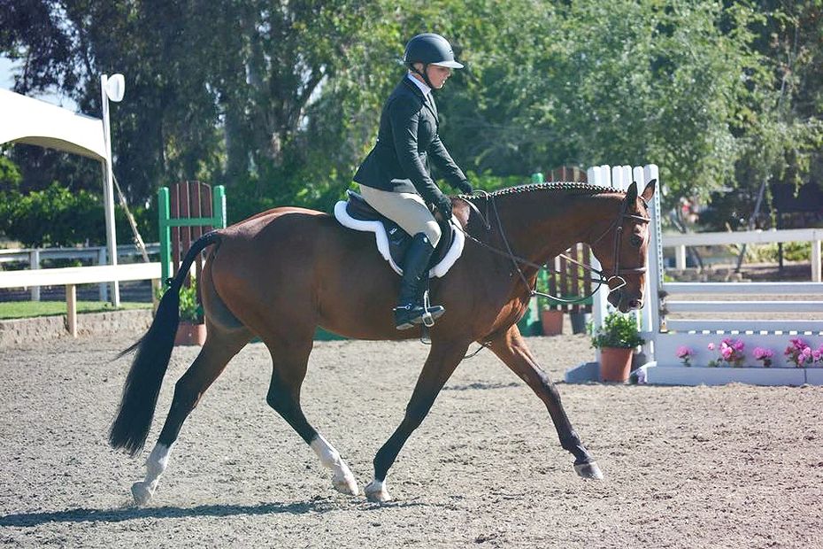 Johanna Hume and Good Luck Z showing in the USHJA 3' Hunters