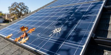 Solar panel with a visible crack and some autumn leaves on it.