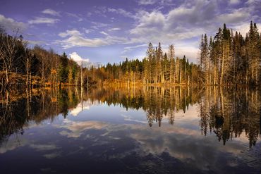 Paysage d'automne reflété dans un lac tel un miroir.