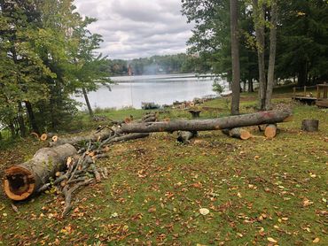 Viewcut LeRoy Michigan