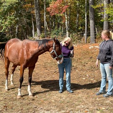 Two women and a horse