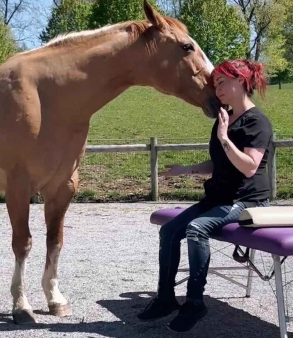 Dr, Amy training with Chief John Matthew for the healing with horses experience.