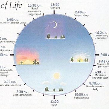 Bipolar Disorder, Georgetown counselling, oakville counselling, Georgetown therapy, Oakville Therapy