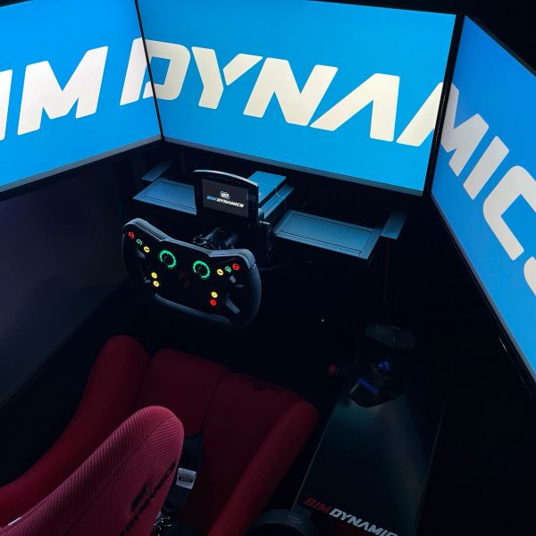 The Best Racing Simulator