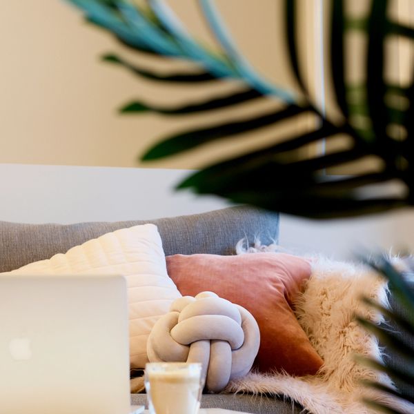 Comfortable seating area for online therapy with laptop and Swiss cheese plant