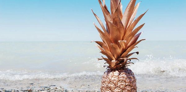 photography website maui hawaii