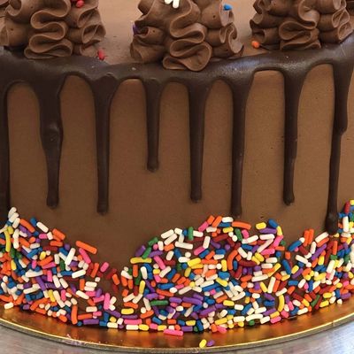 Double Chocolate Sprinkle Cake
