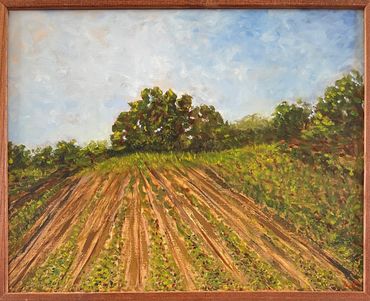 Pick your own - For Sale - 16"x20" Oil on canvas and framed by the artist. $899