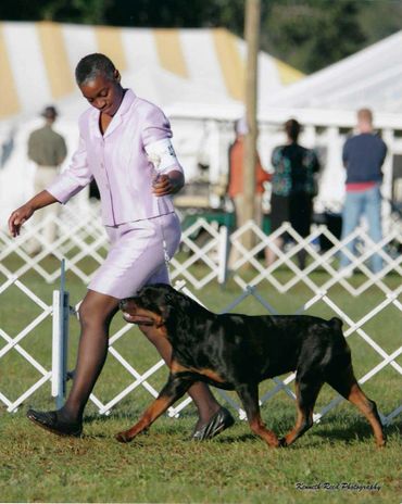 Woman running with Rottweiler dog.