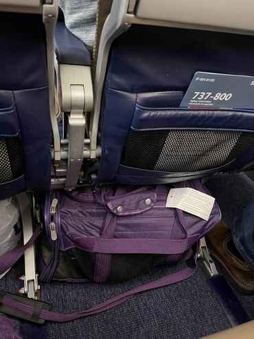 Pet carrier under airplane seat.