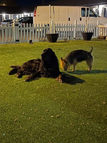 Group posing with small dog.
