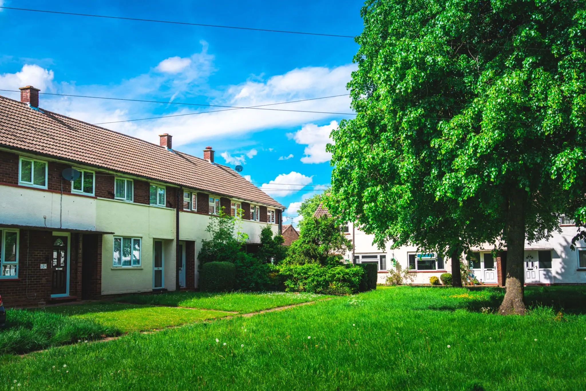 A row of suburban houses with brown roofs and white walls sits beside a green lawn and leafy tree