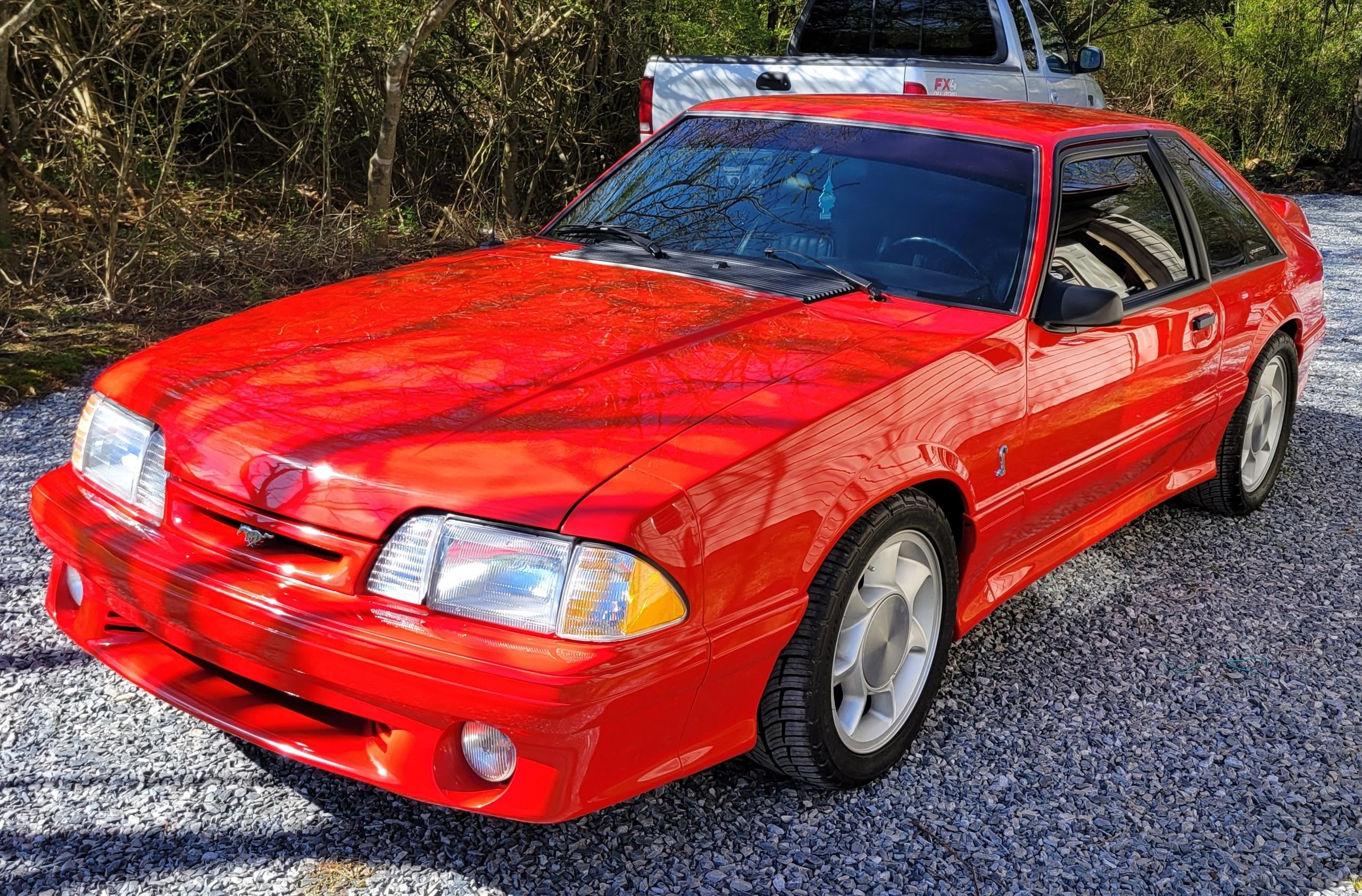 1993 Cobra Mustang