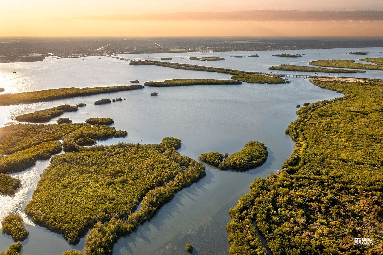 Aerial view of a lush mangrove forest with winding waterways at sunset.