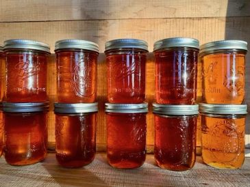 Eight mason jars filled with honey on a wooden surface.