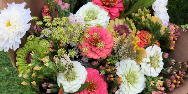 Organic cut flower bouquet at 180 Degree Farm