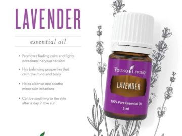 A bottle of Young Living Lavender essential oil with calming benefits.