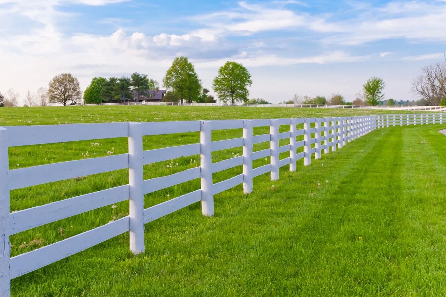 White picket farm fencing. 4 rail pressure treated pine.