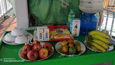 1 Single/Same Day Tour To Sundarban From Kolkata