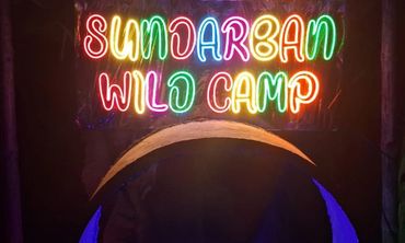 Our In house Lightings