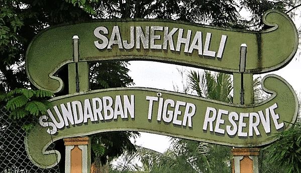 Watchtowers of Sundarbans-Sajnekhali, Sudhanyakhali, Dobanki
