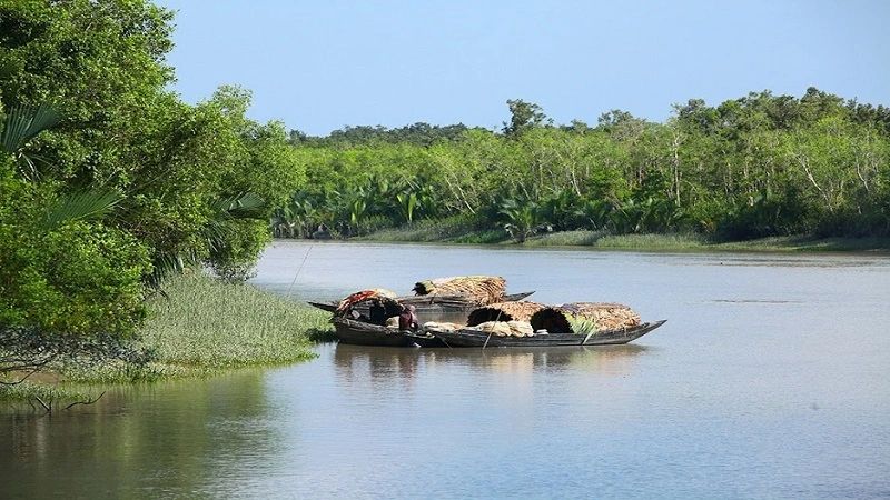 1 Single/Same Day Tour To Sundarban From Kolkata
