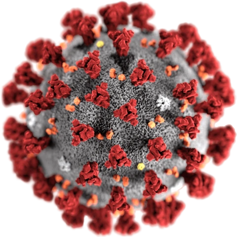 covid virus