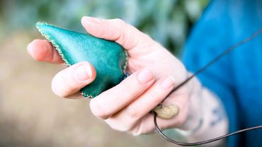 Green snakeshead rattle in hand