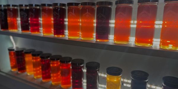 jars of honey on shelves