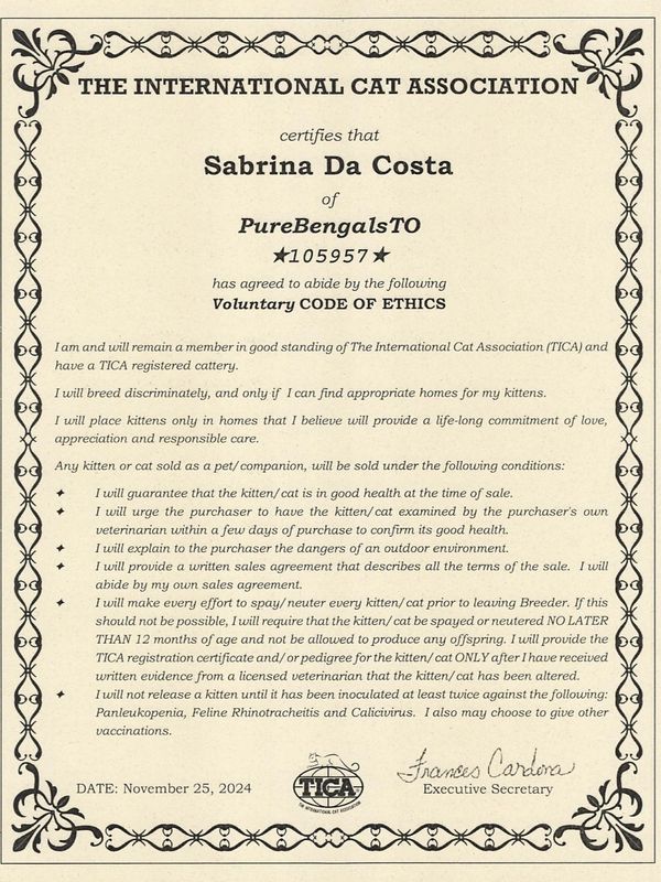 Certificate from The International Cat Association certifying Sabrina Da Costa of PureBengalsTO.
