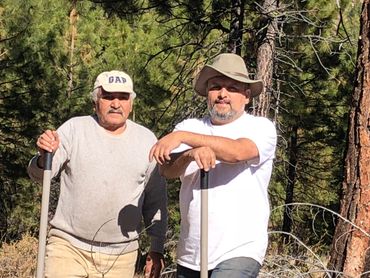 A sunny afternoon at Cyrus saffron farm