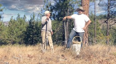 Late spring time when we check the bulbs.
