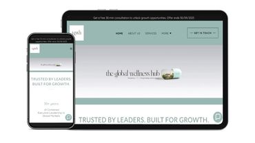 The Global Wellness Hub, website developer, app developer, mec workshop, digital marketing longevity