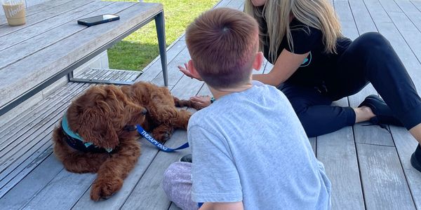 Pawz ThΓ©rapie, Healing Hearts One Paw At A Time π