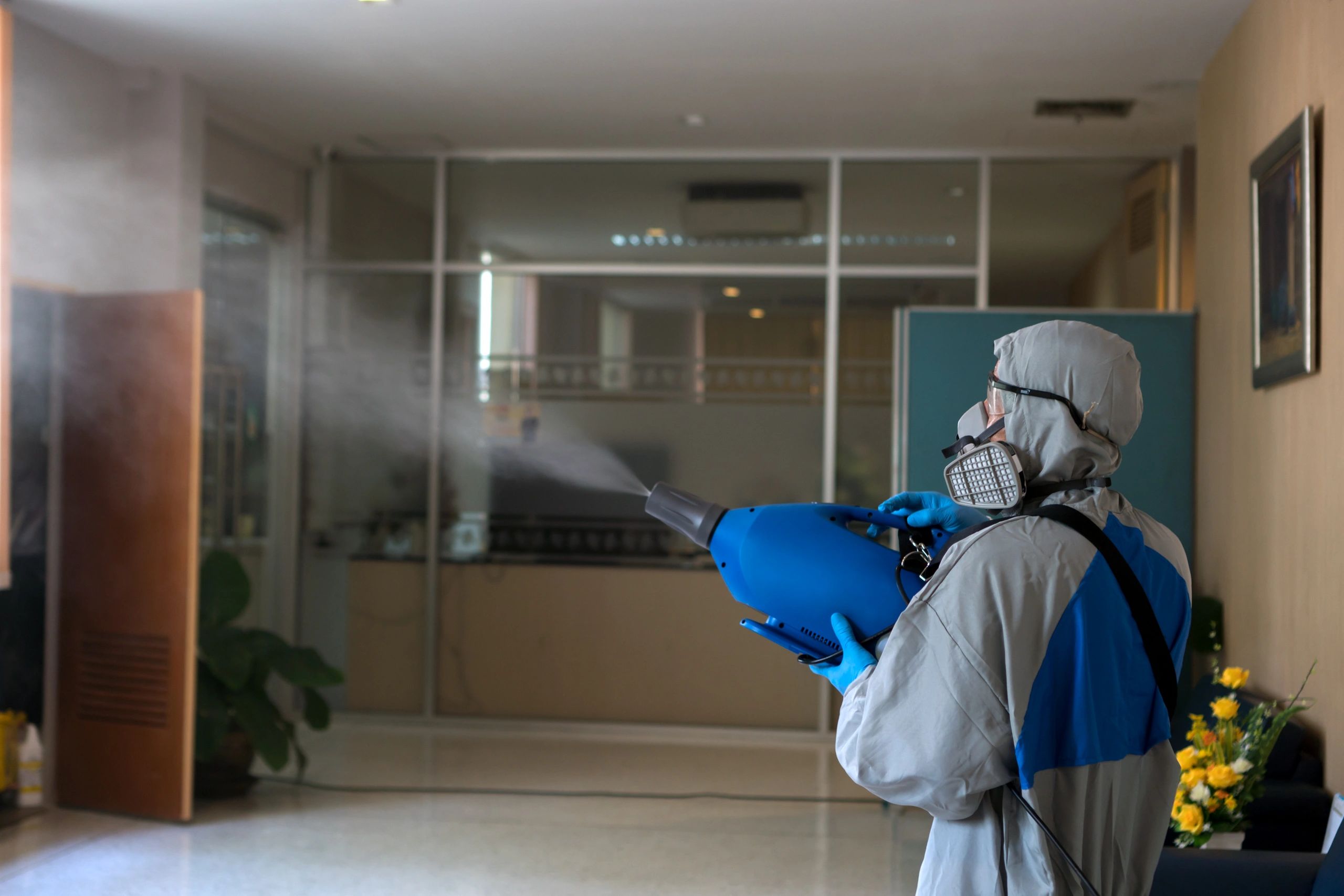 Toro Clean Best Carpet Cleaner New Orleans, Louisiana
