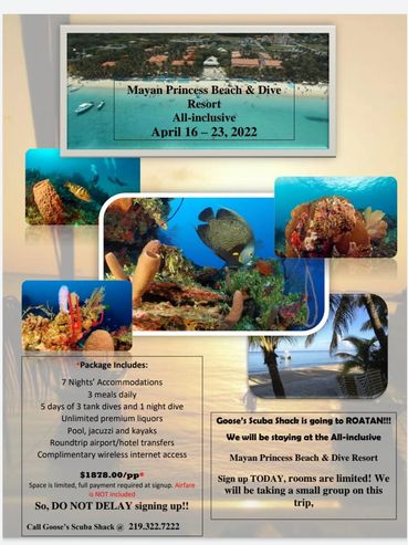Roatan Diving Trip from Northwest Indiana (NWI)