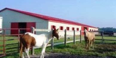 Horse and Equestrian boarding services at Shingleton Farms, Hampstead, NC