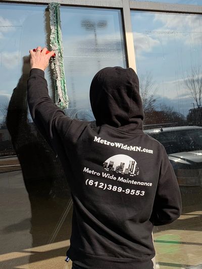 Window cleaning minneapolis