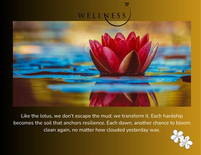 black  & gold background with blue and gold reflections, a single red Lotus flower sits on the pond