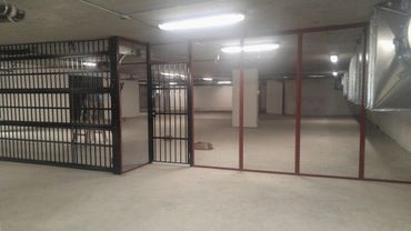 Nimble Door Company