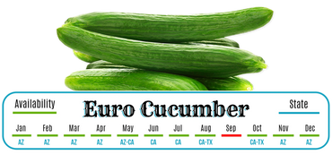 Euro Cucumber