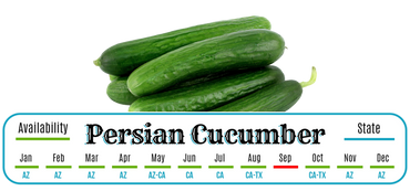 Persian Cucumber