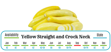 Yellow Straight and Crock Neck - summer squash