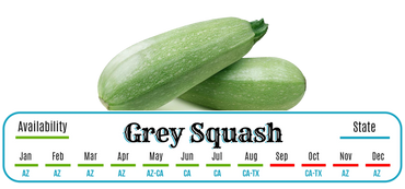 Grey Squash - Summer Squash