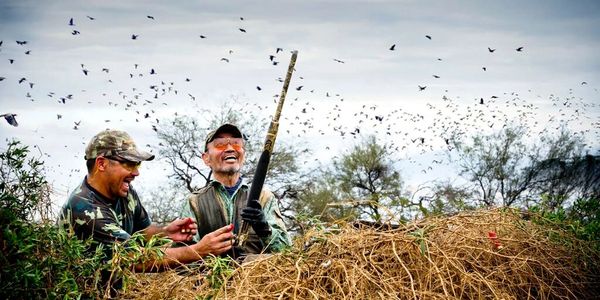 Dove Hunting in Argentina