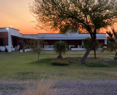 Dove Hunting in Argentina