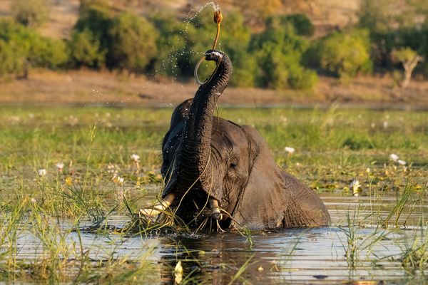 Image: Ada Andrews - Fresh Picked
(Annual Conference in Taos, New Mexico 2025)