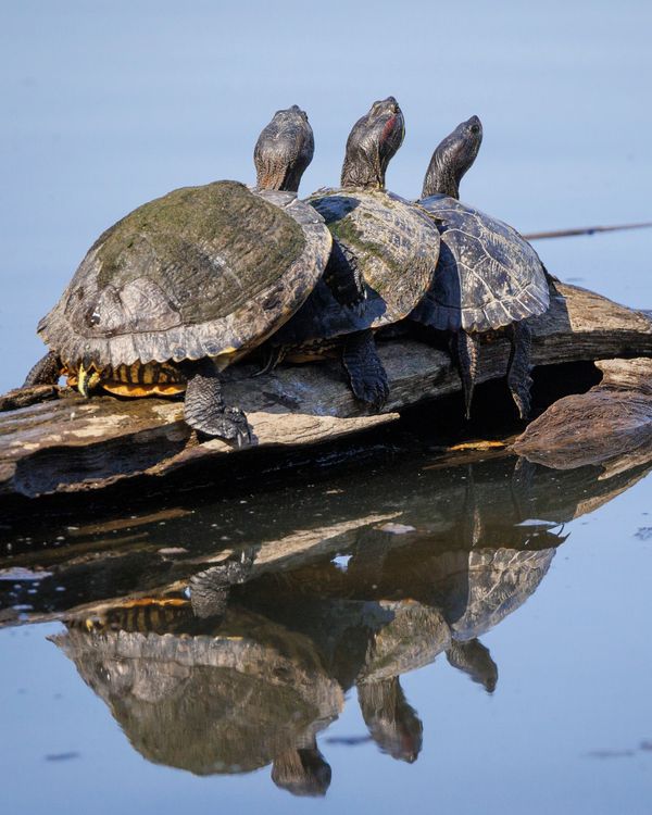 (Annual Conference in Taos, New Mexico 2025)