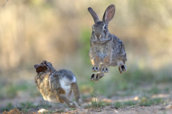 (Annual Conference in Taos, New Mexico 2025)