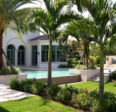 A MIxture of Palms and Shrubs